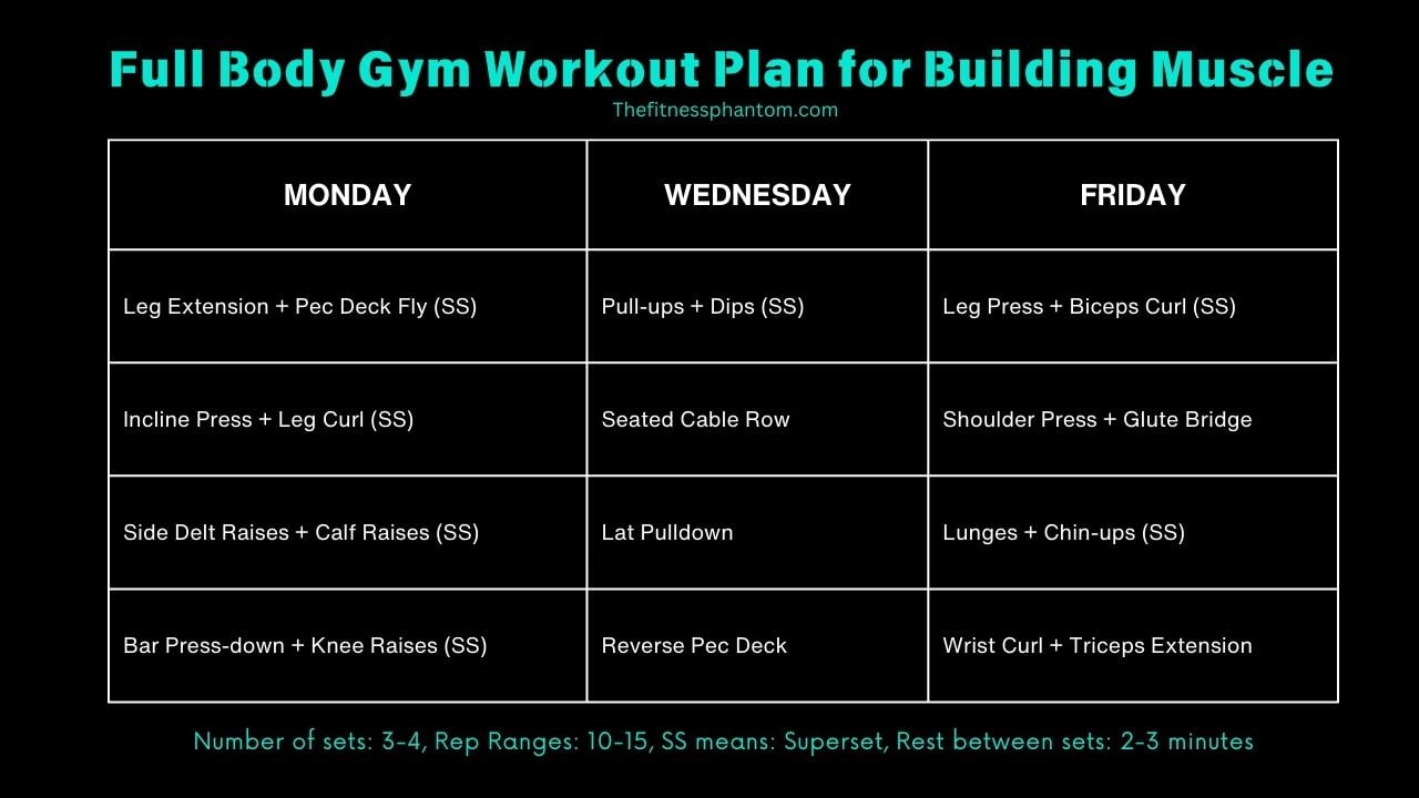Full Body 1 Hour Gym Workout Plan