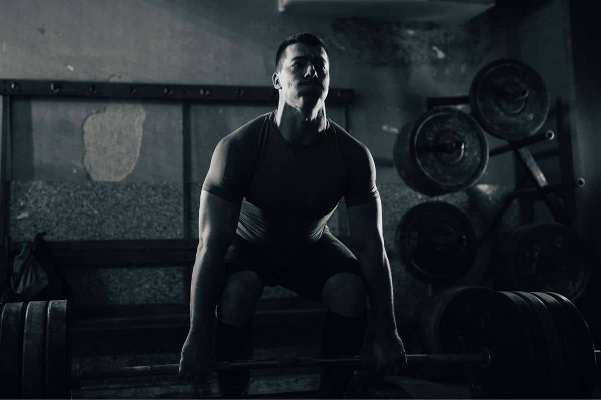 Best 3 Day Full Body Barbell Workout Routine (w/PDF) full body 3 day barbell workout