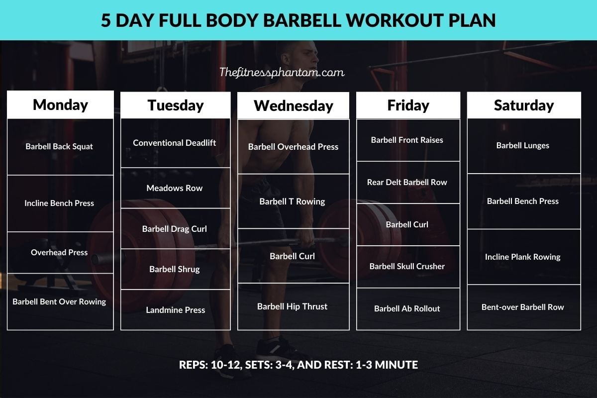 Full Body Barbell Workout Plan at Home