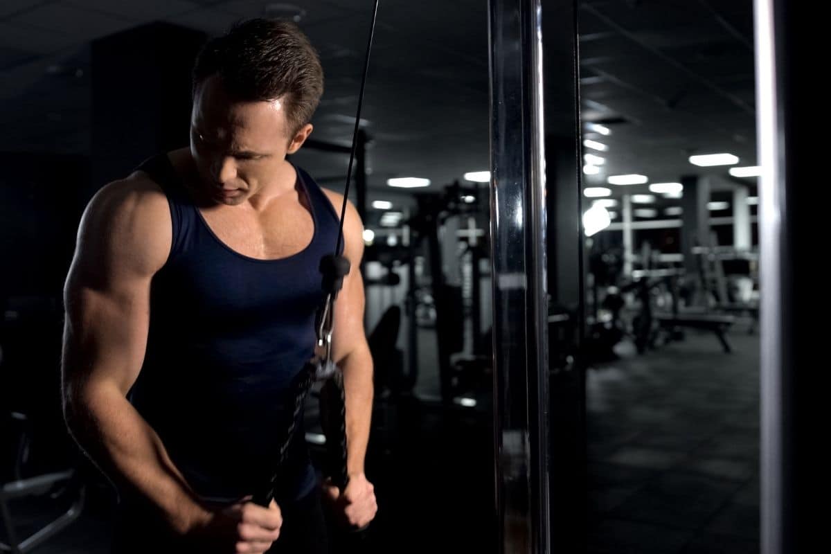 4 Day Full Body Workout Routine For Mass