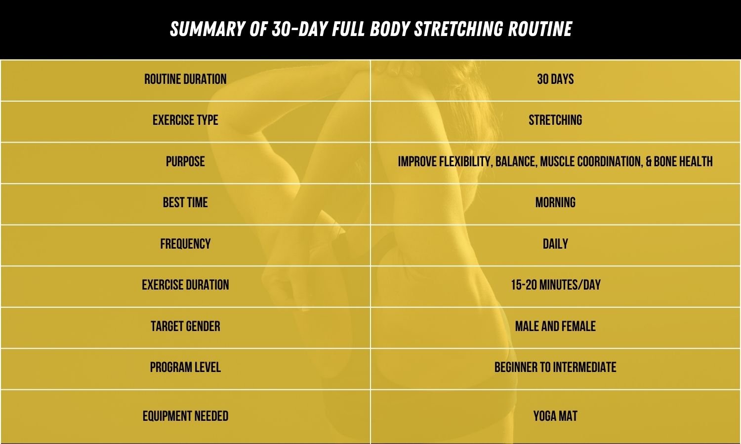 Full Body Stretching Routine Summary