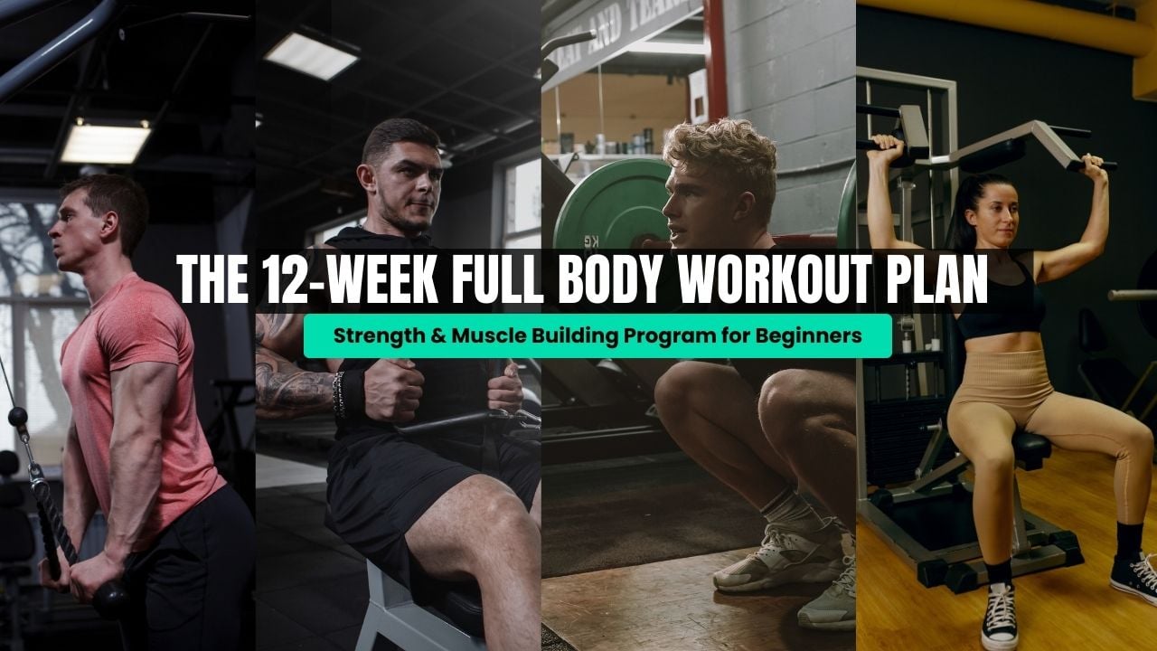 Full Body Workout Plan for Beginners