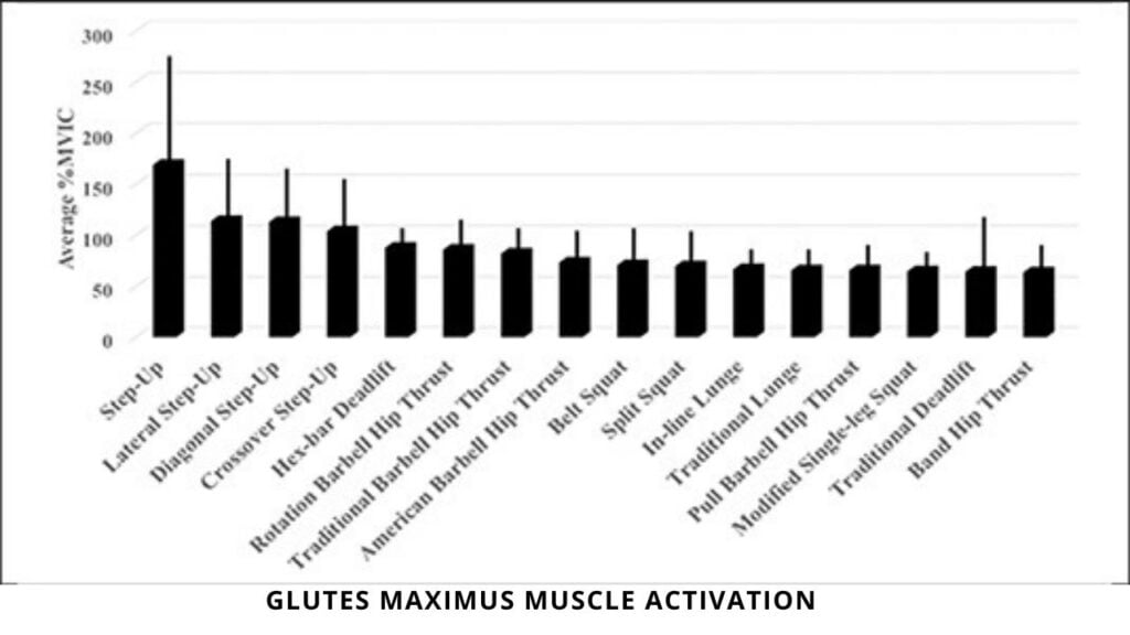 Glutes Maximus Muscle Activation in Compound Exercises