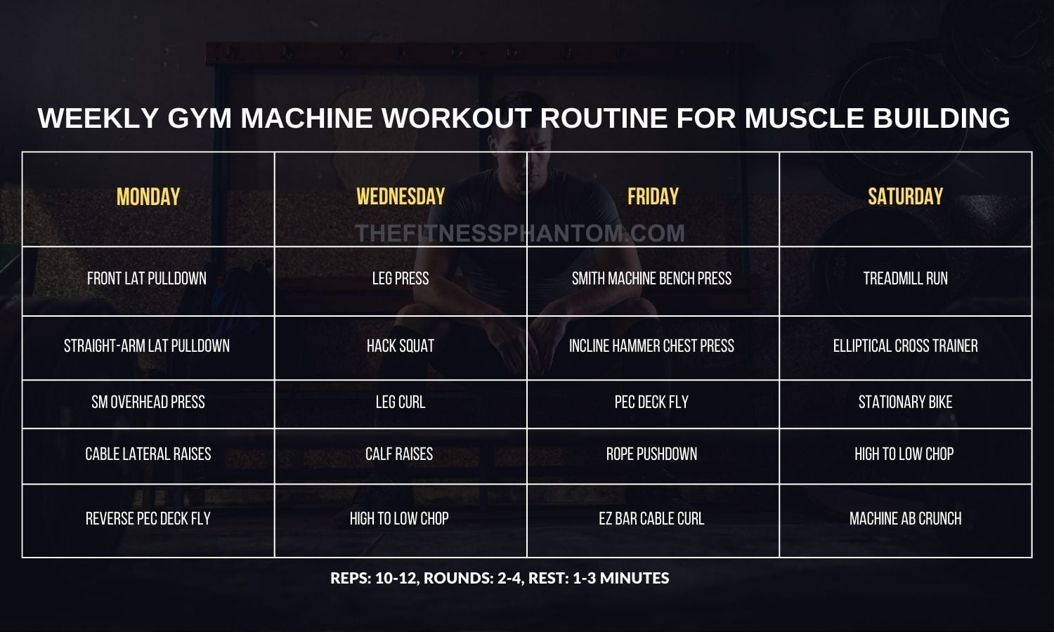 Gym Machine Workout Routine for Muscle Building