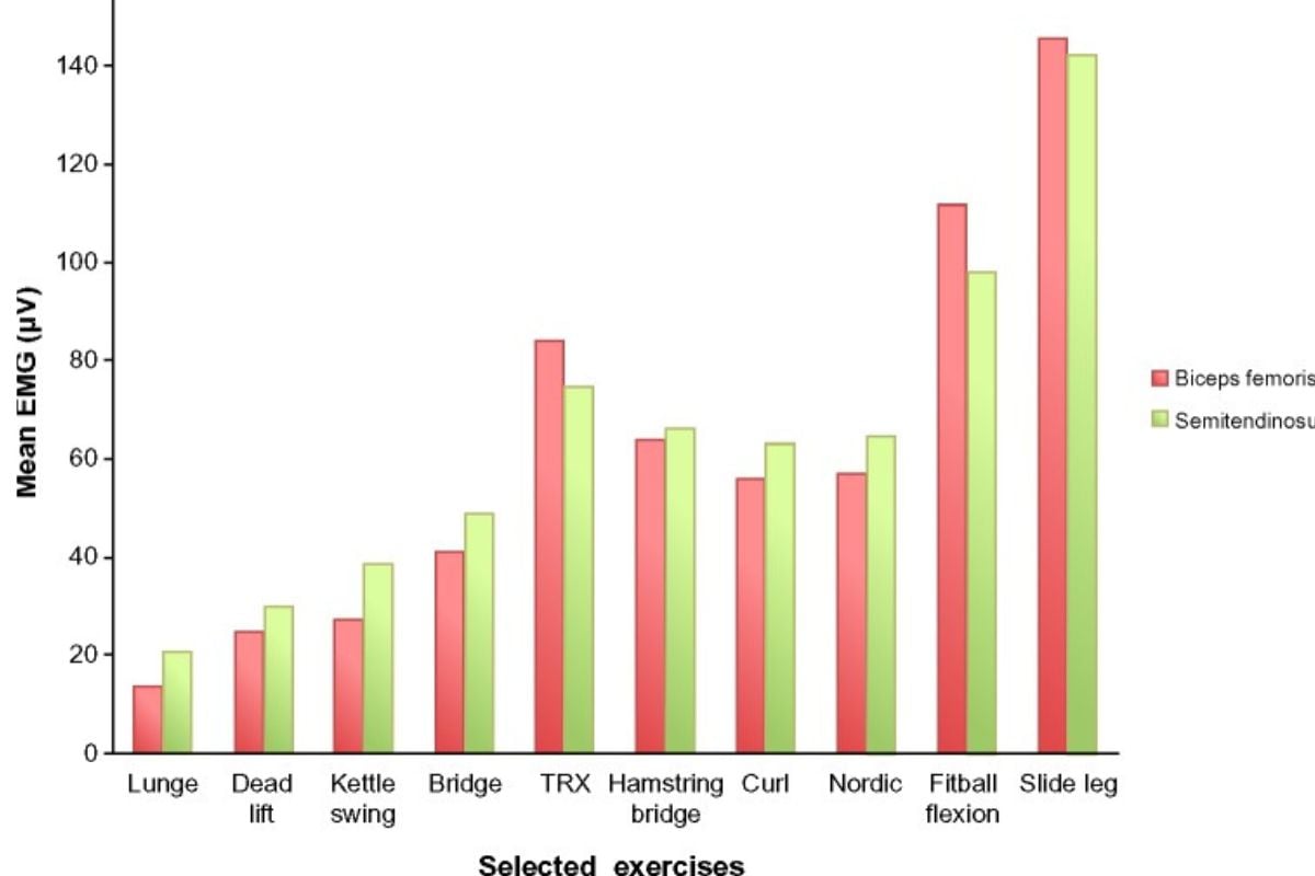8 Best Bodyweight Hamstring Exercises at Home Hamstring Exercises Activation