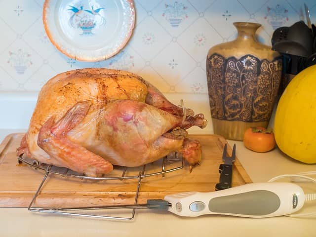 high protein turkey for weight gain