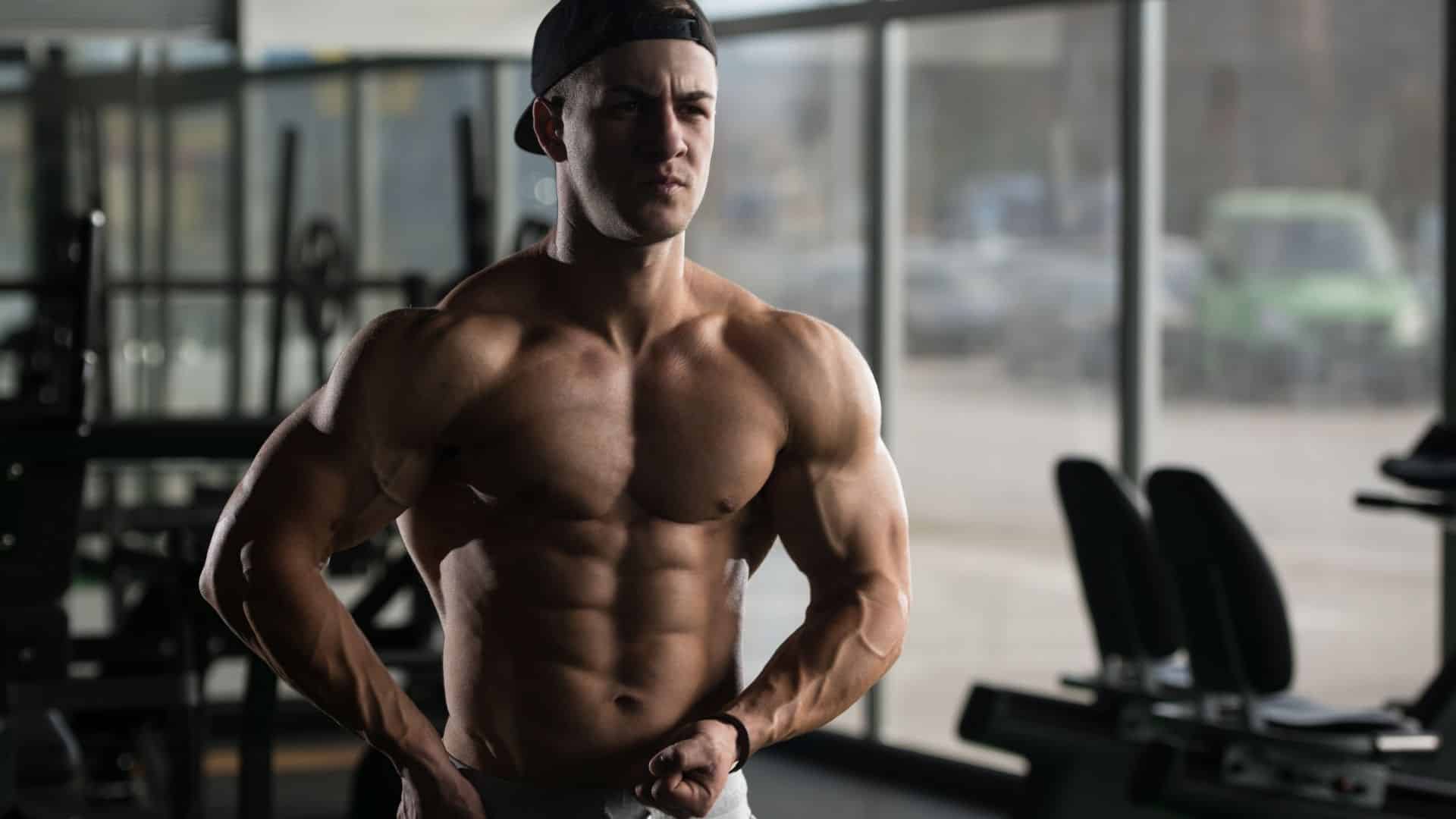 21 Day Home Workout Plan