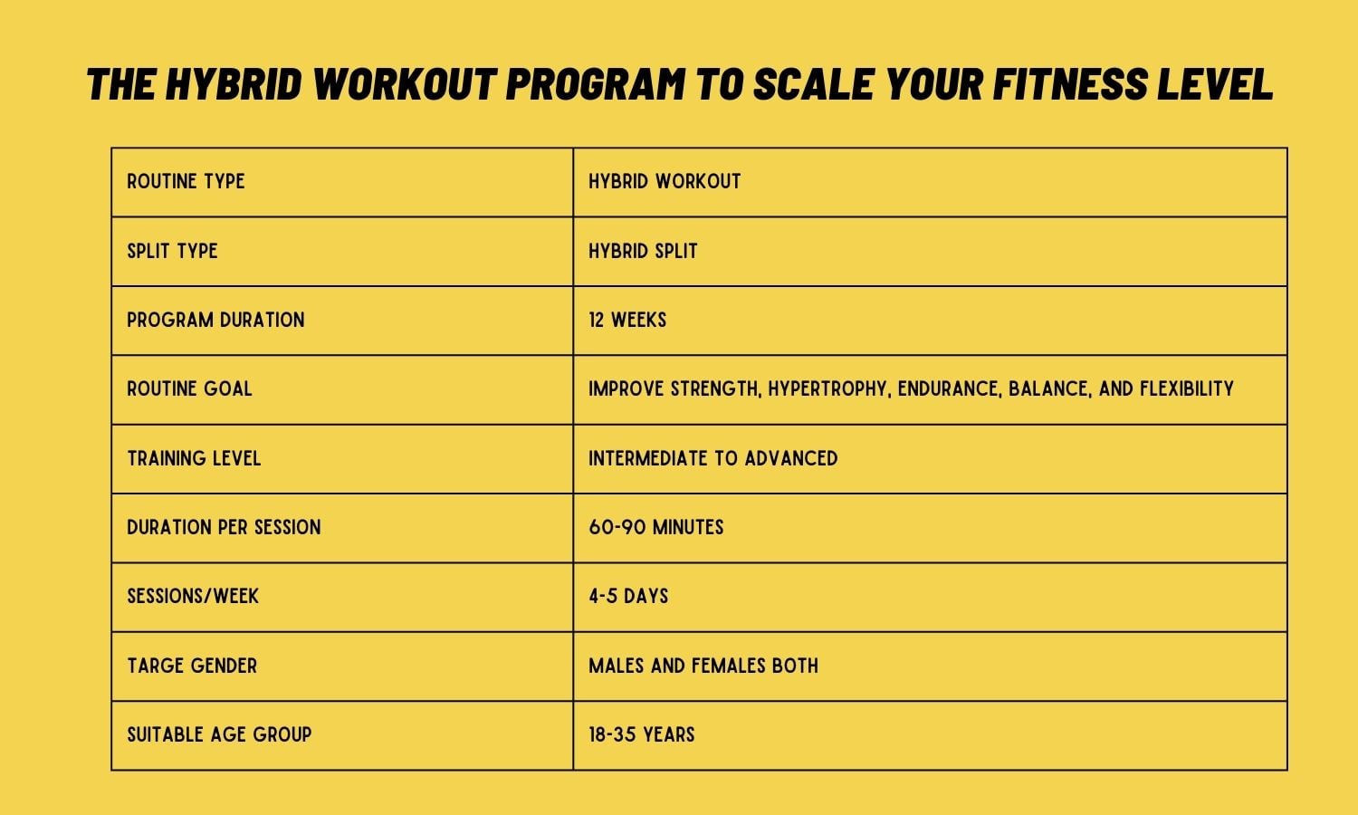 HYBRID WORKOUT PROGRAM