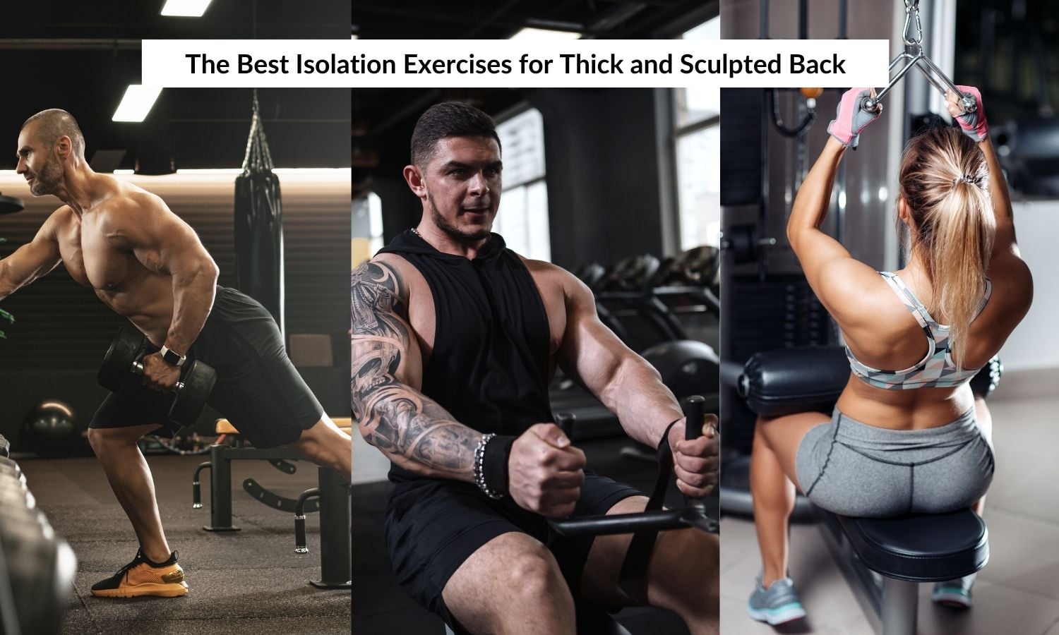 Isolation Exercises for Back