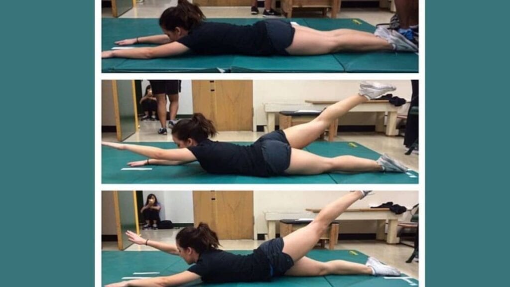 16 Isometric Back Exercises with PDF Isometric Low Back Exercise