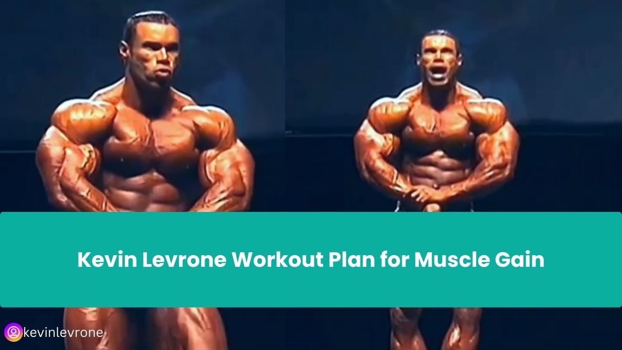 Kevin Levrone Workout Routine
