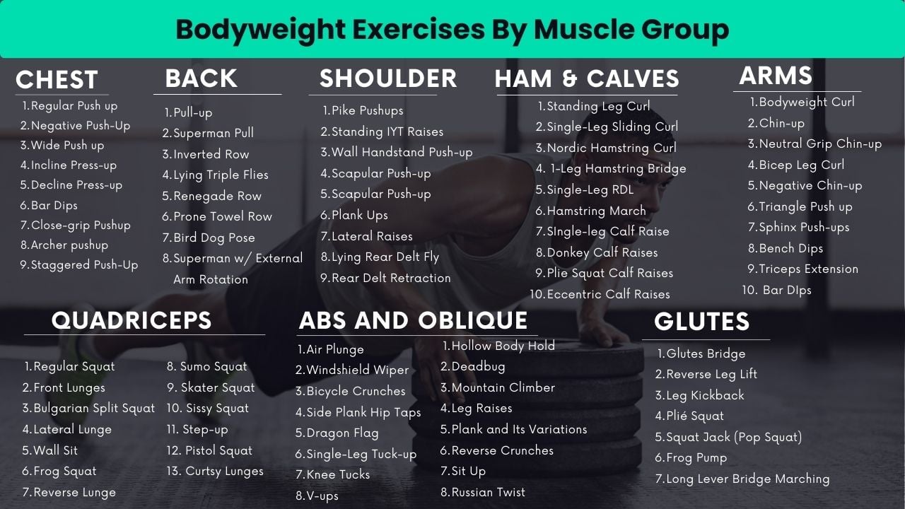 List of Bodyweight Exercises by Muscle Group