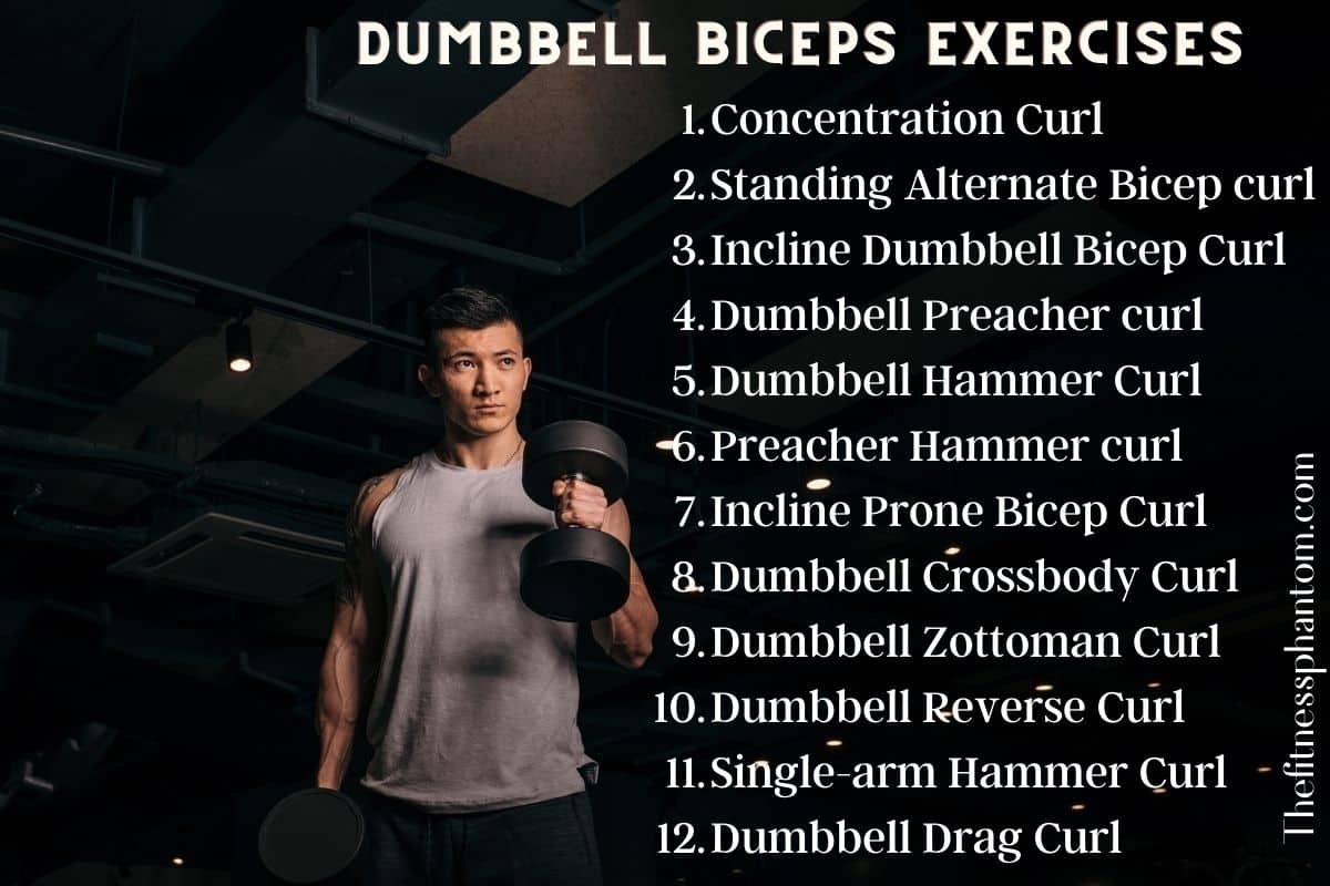 List Of Dumbbell Exercises For Biceps