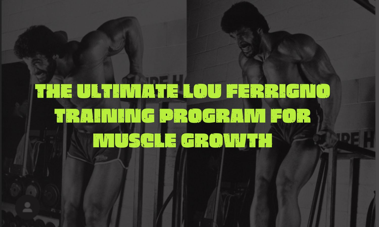 Lou Ferrigno Workout Routine
