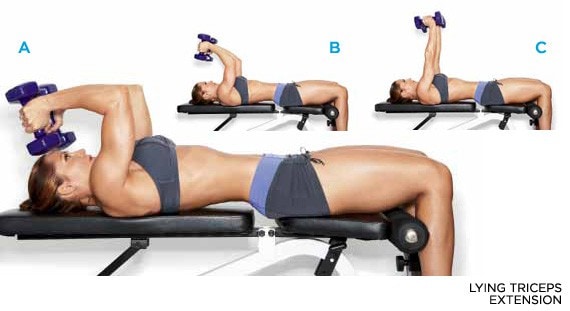 30 Best Dumbbell Exercises for Beginners to Build Muscle Beginners Dumbbell Workouts