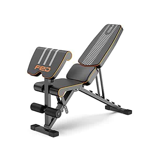 Multi Functional Workout Bench
