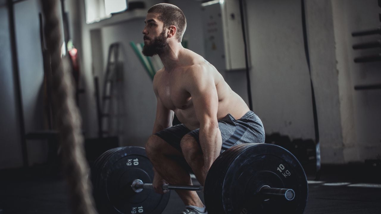 Muscle Gain Workout Training