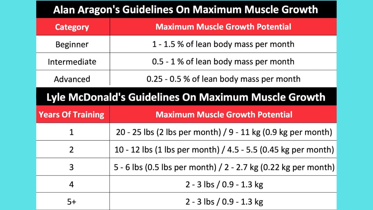 Muscle Growth Chart by Alan Aragon and Lyle McDonald