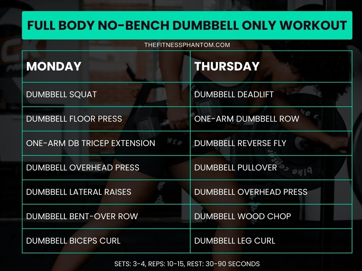 No Bench Dumbbell Workout Plan with PDF Full Body No-bench Dumbbell Only Workout