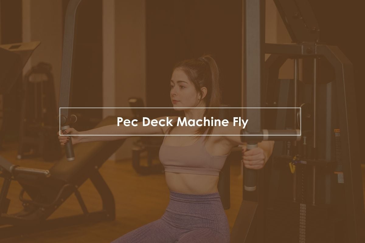 Pec Deck Machine Fly