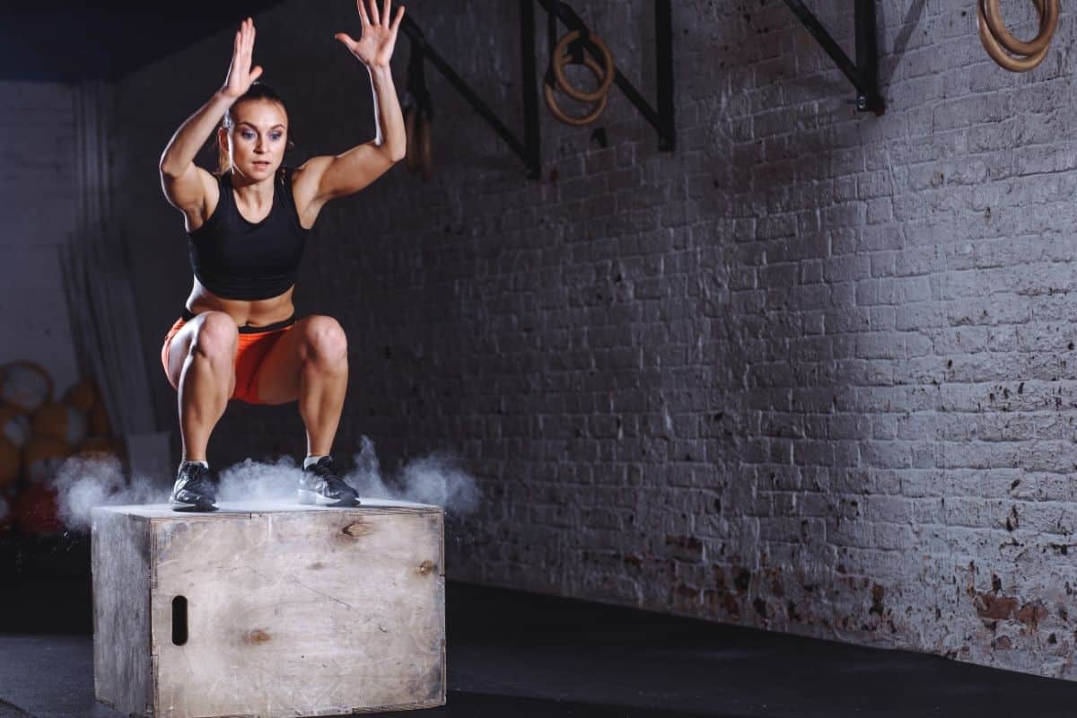 plyometric workout program
