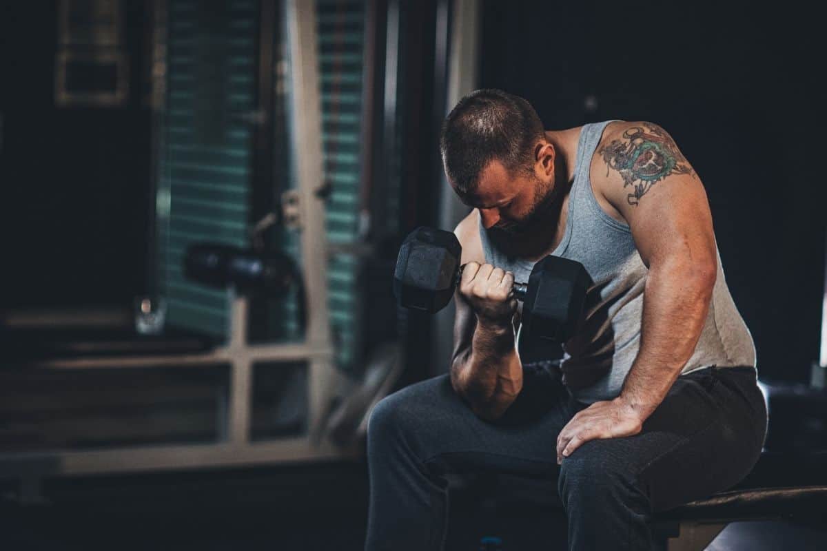 PPL 3 Day Dumbbell Workout Program