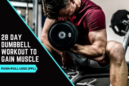 PPL Dumbbell Workout