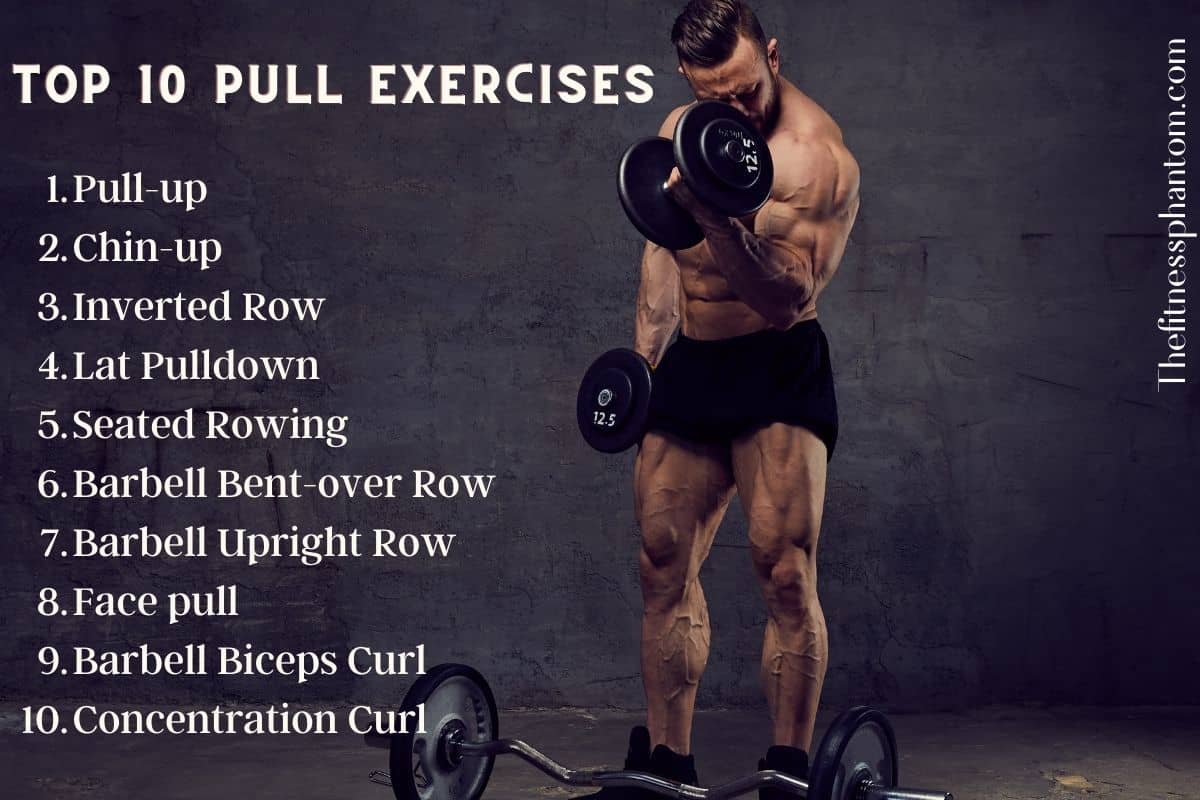 Pull Exercises List