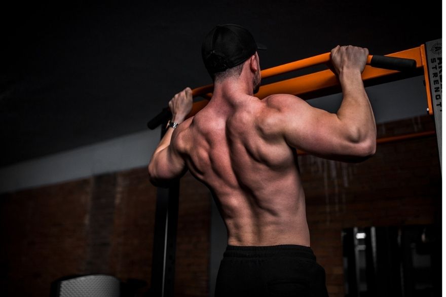 20 Best Functional Upper Body Exercises with PDF Upper Body Exercises