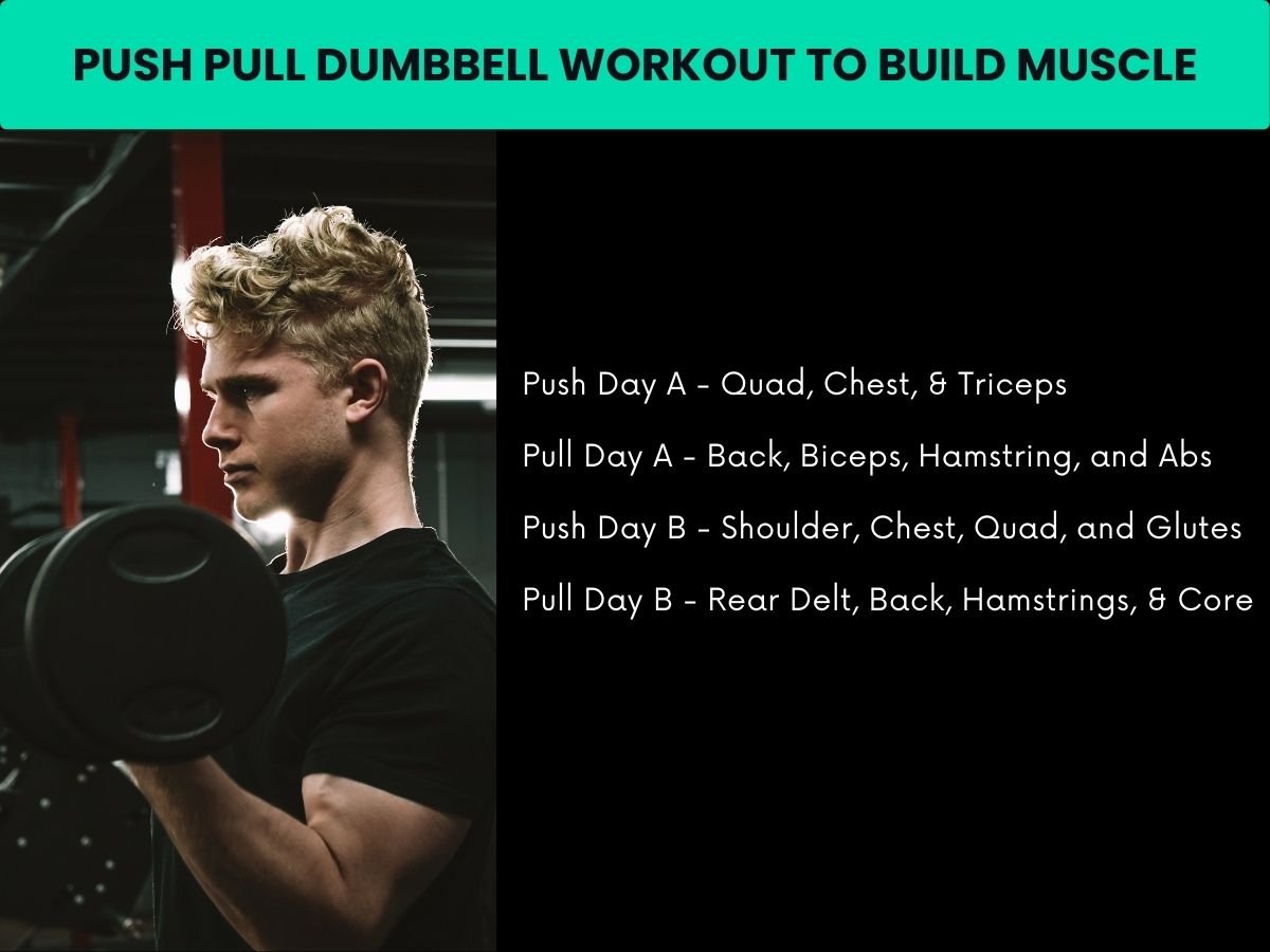 4-Day Dumbbell Push Pull Workout to Get Aesthetic with PDF Push Pull Dumbbell Workout