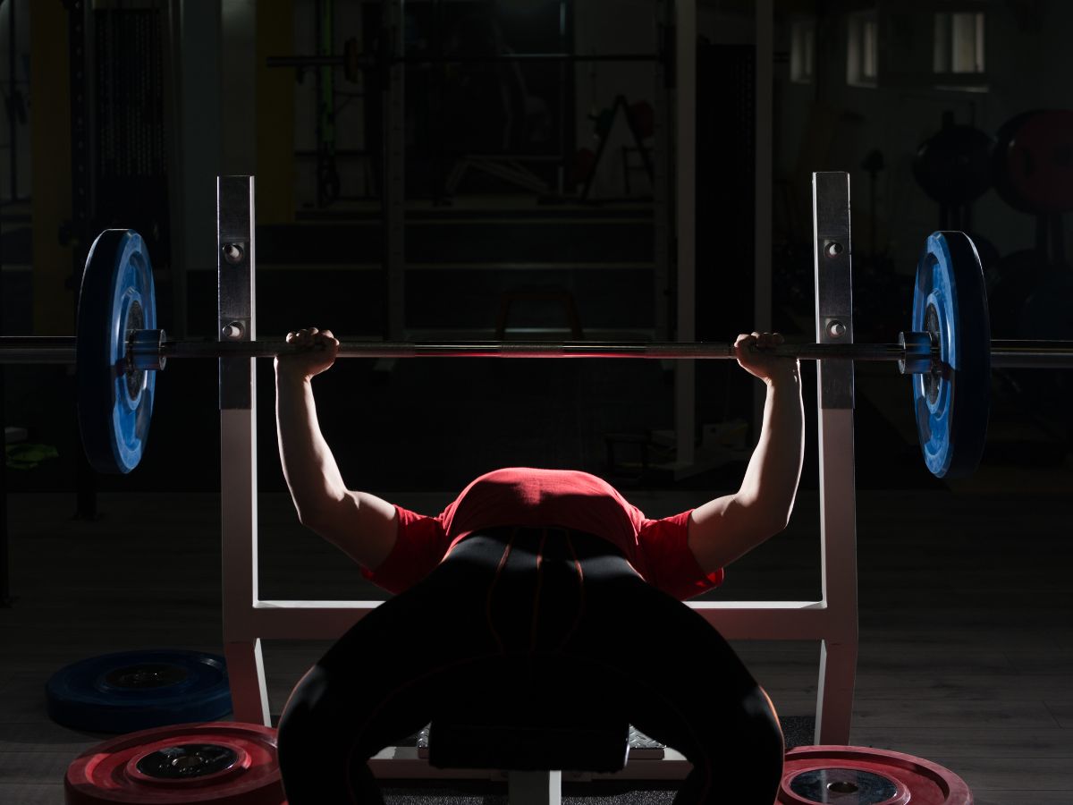 Push Pull Leg Barbell Training for Strength