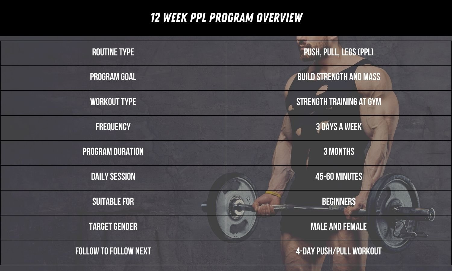 Push Pull Legs 12 Week Program