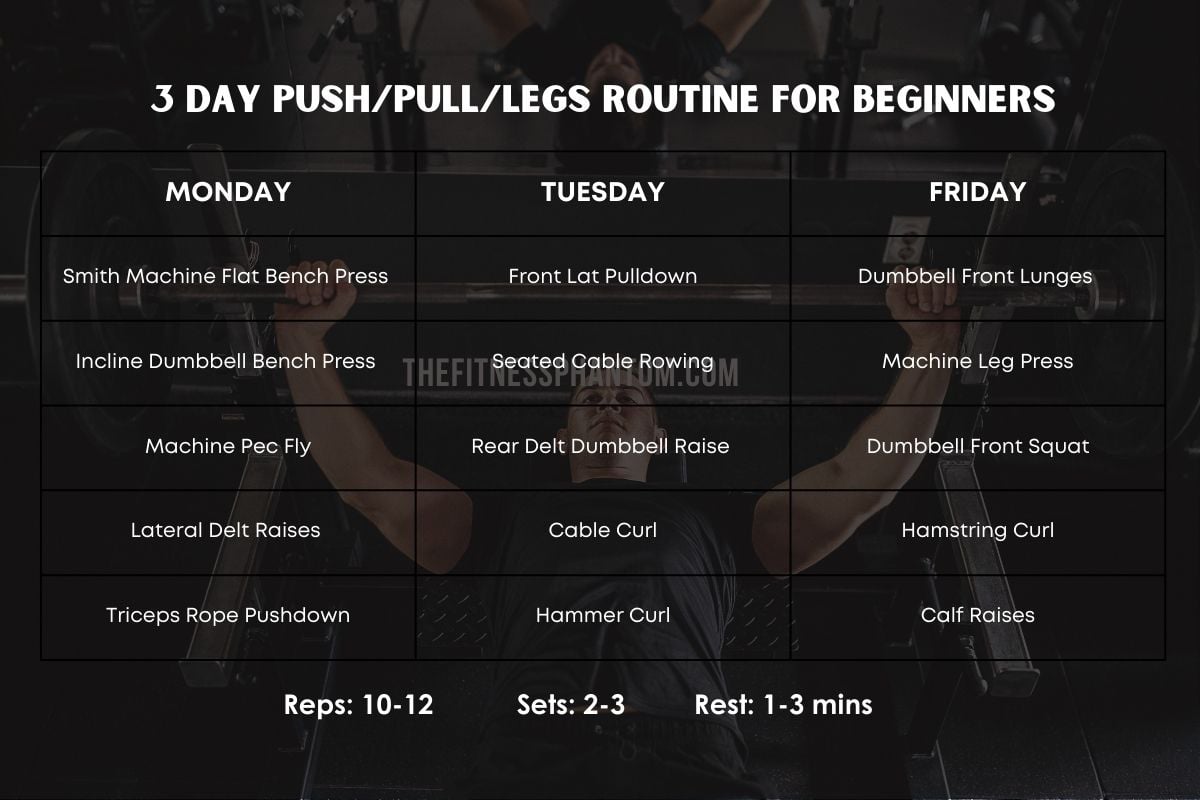 The Best Push Pull Legs 3 Day Split Routine (PDF Included) Push Pull Legs 3 Day Split for Beginners