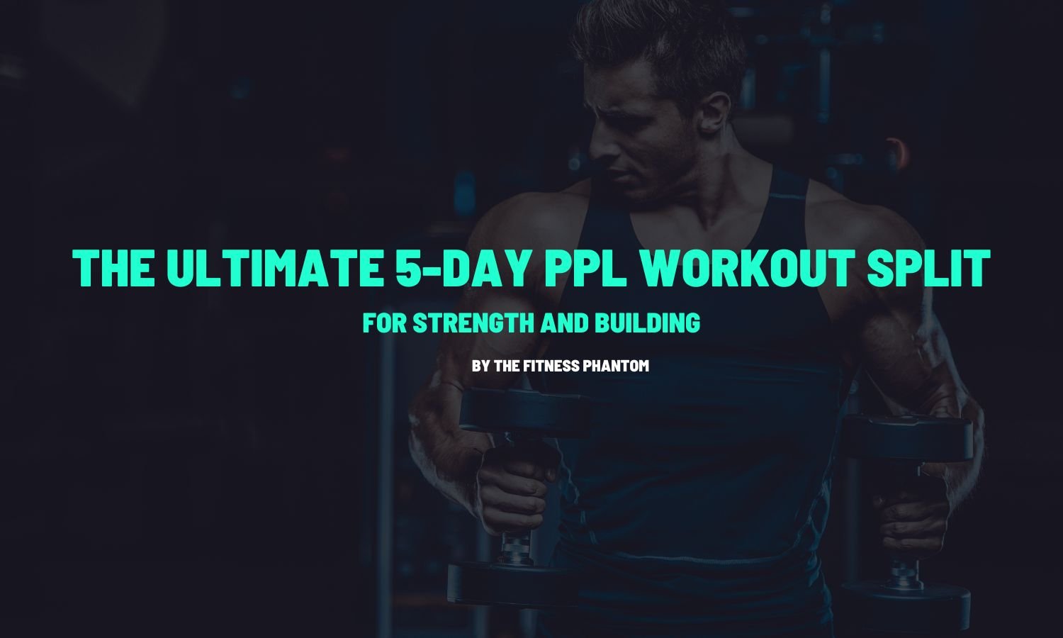 Push Pull Legs 5 Day Split Workout