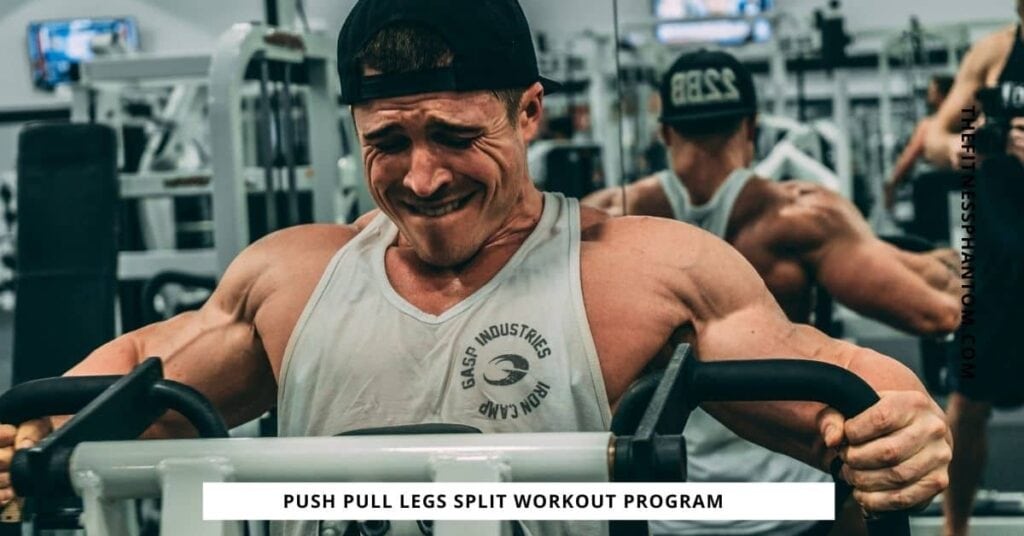 Push Pull Legs 6 Day Split for Strength & Hypertrophy w/ PDF PPL Split Workout Training