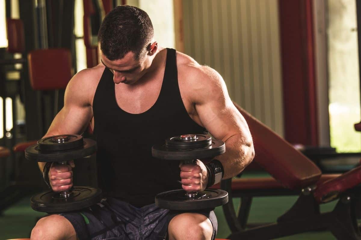 Push Pull Legs 5 Day Split Workout