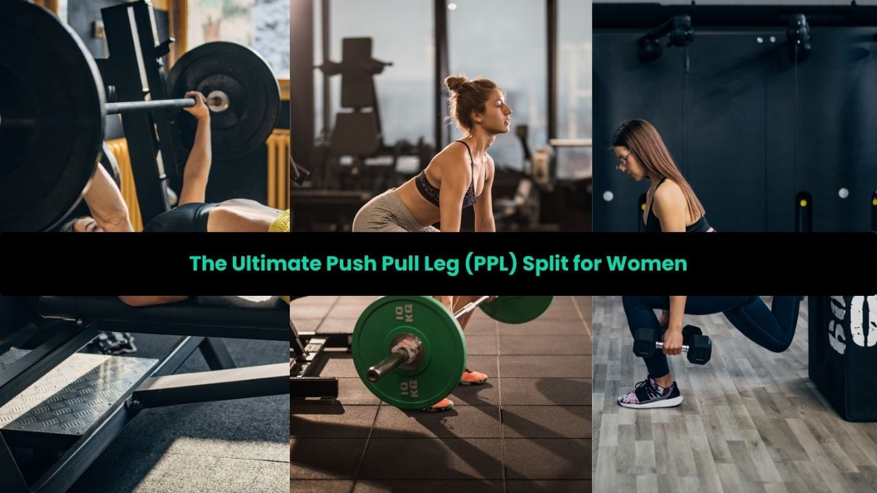 Push Pull Legs Split for Women