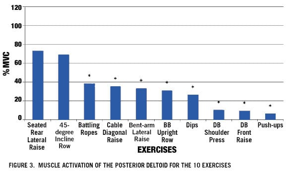 Rear Delt Muscle Activaion