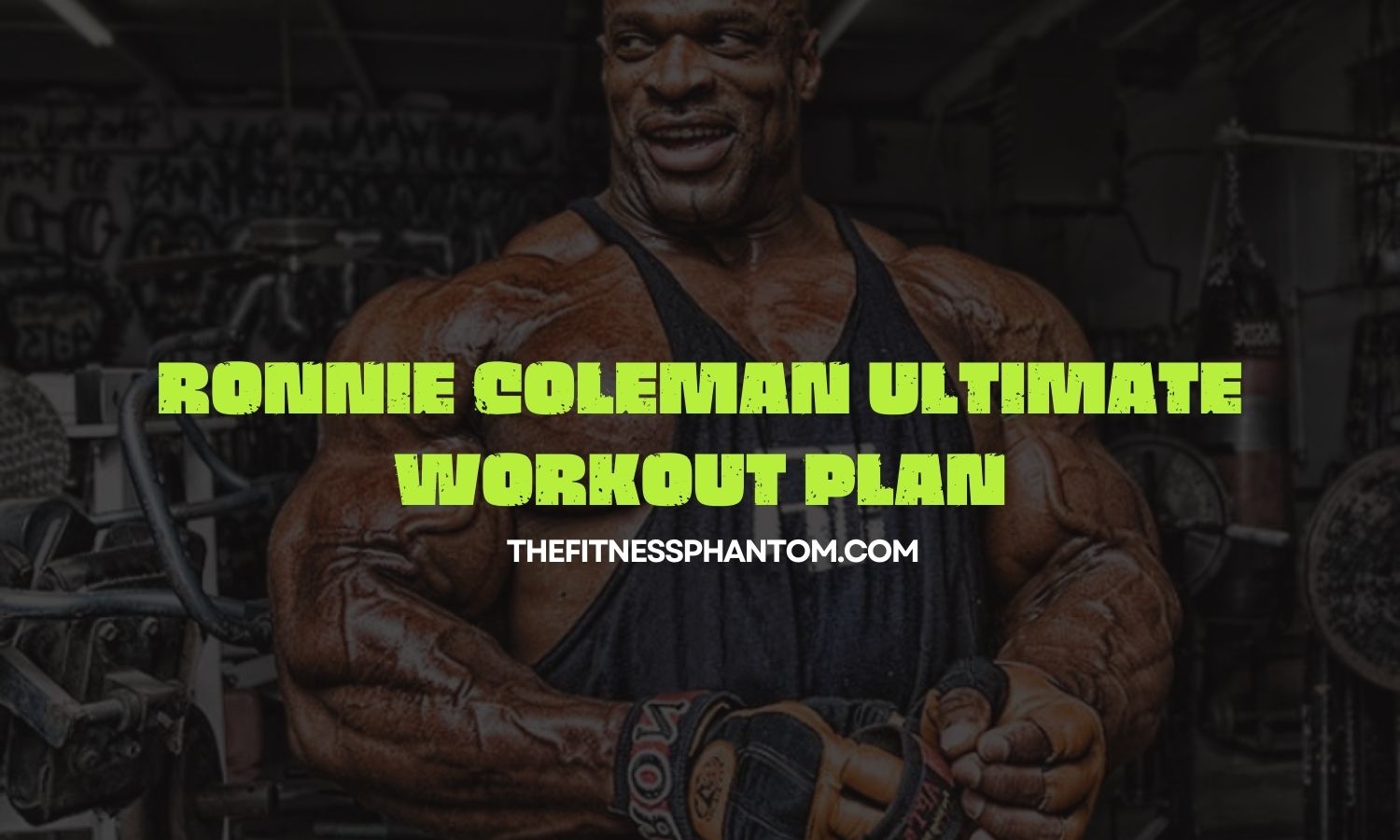 Ronnie Coleman workout routine