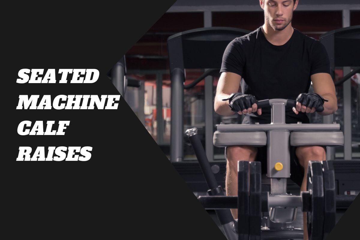 11 Best Calf Raise Variations for Strength and Mass Seated Machine Calf Raise