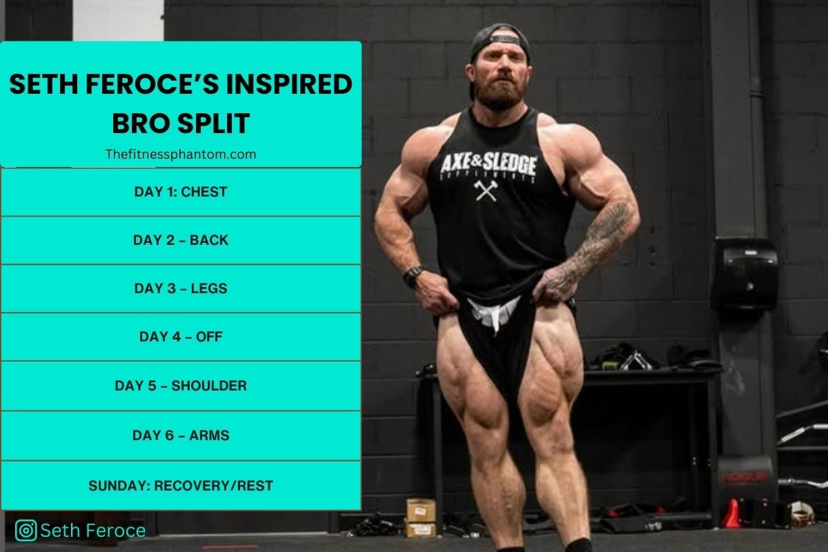 Seth Feroce's Muscle Building Bro Split