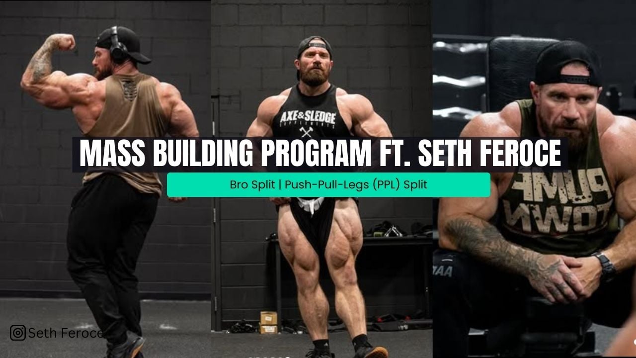 Seth Feroce Workout Routine