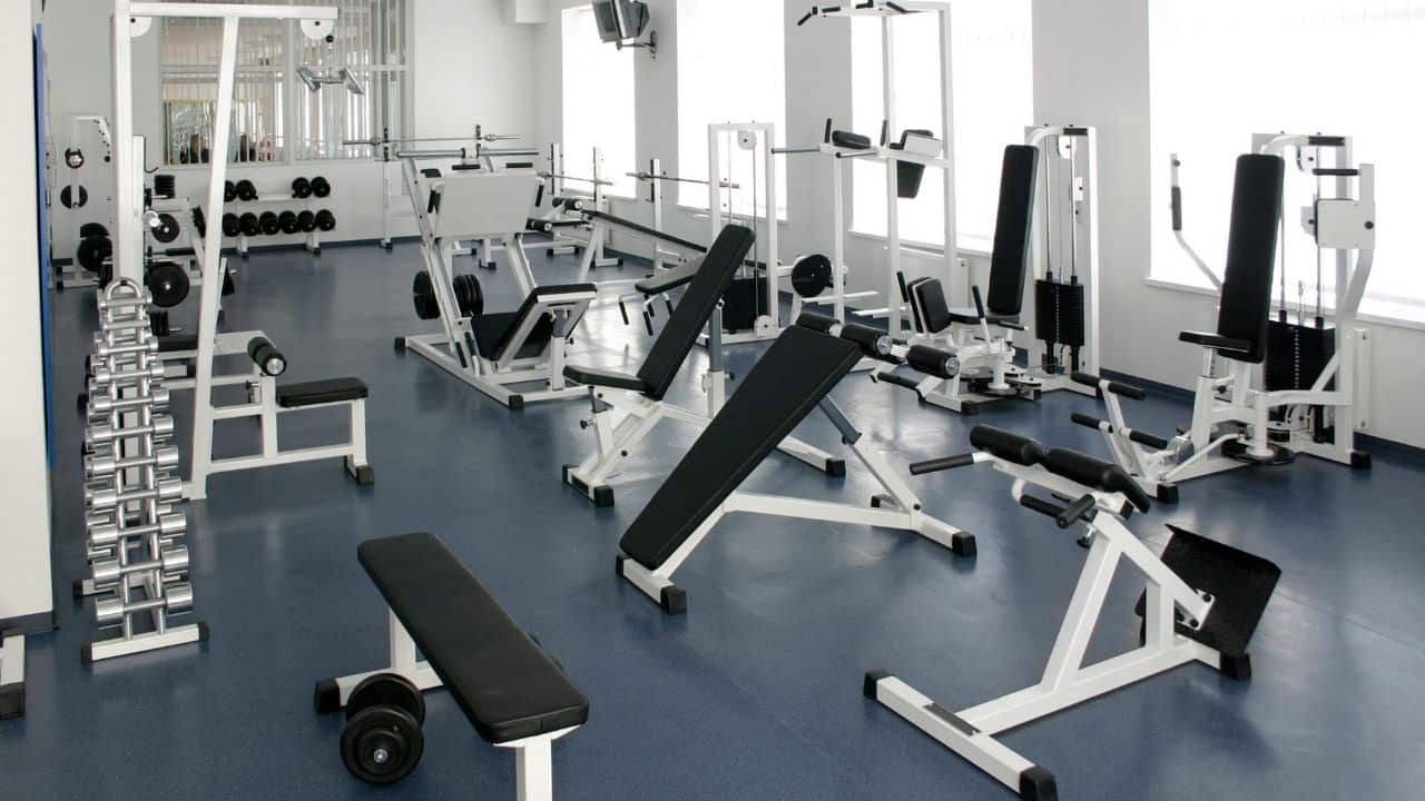 Types of Workout Benches