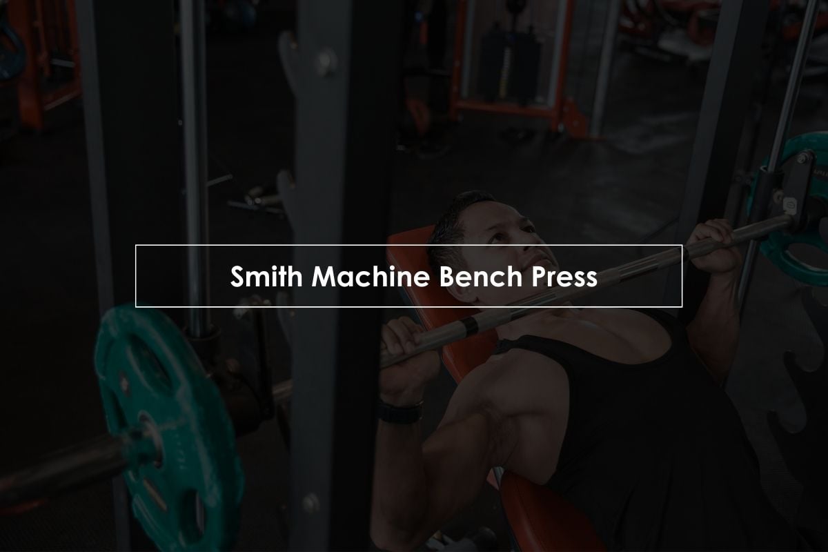 upper body beginner exercises