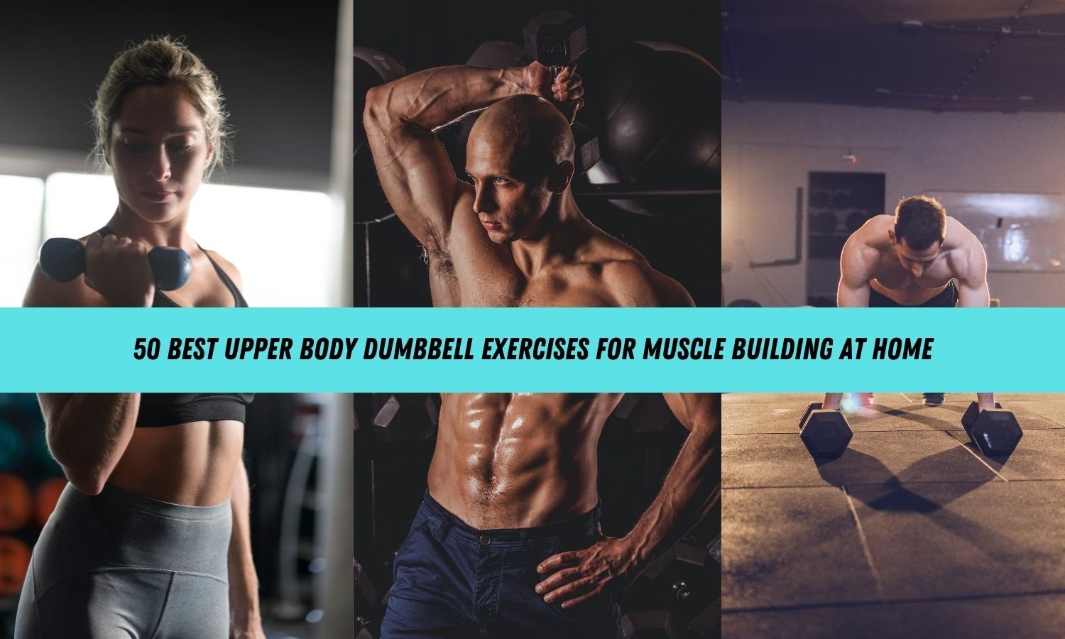 Upper Body Dumbbell Exercises and Workout