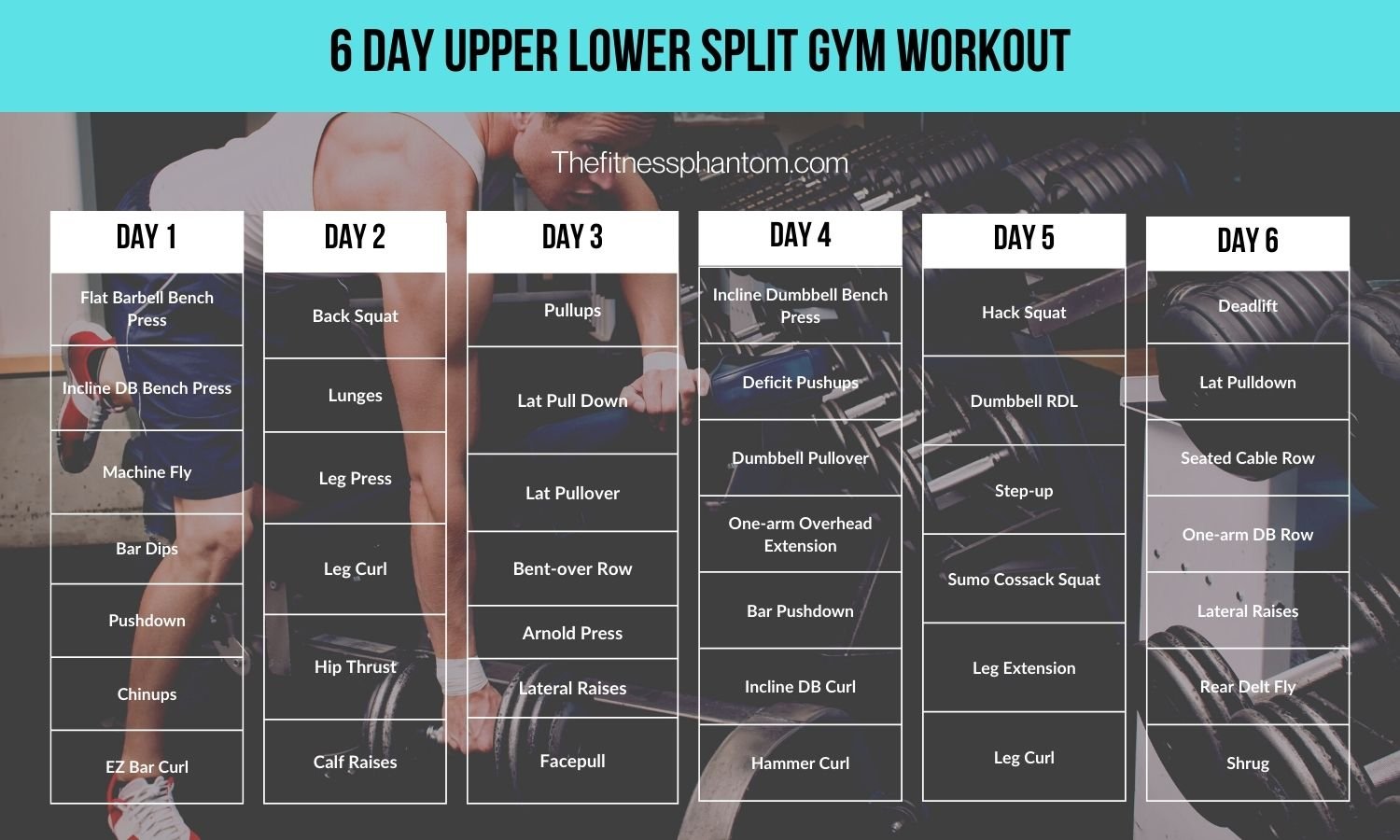 upper lower 6 day split