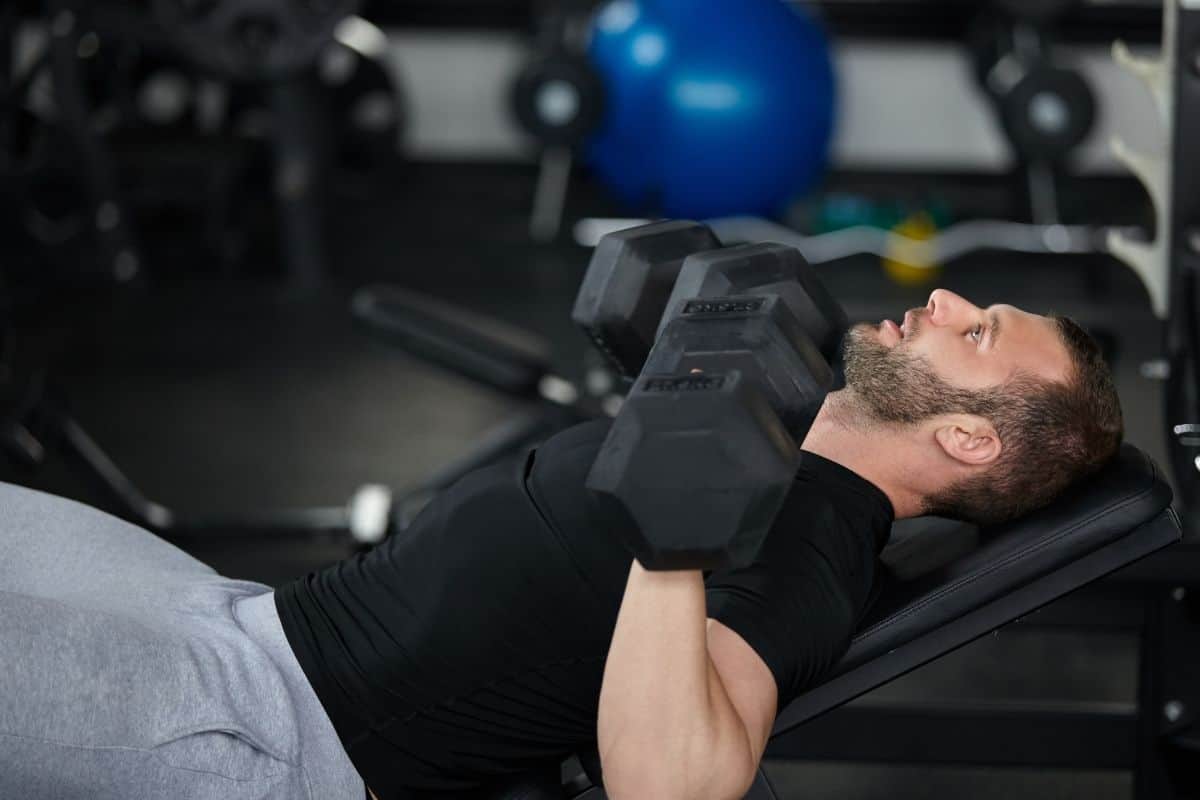 Dumbbell Upper Lower Split