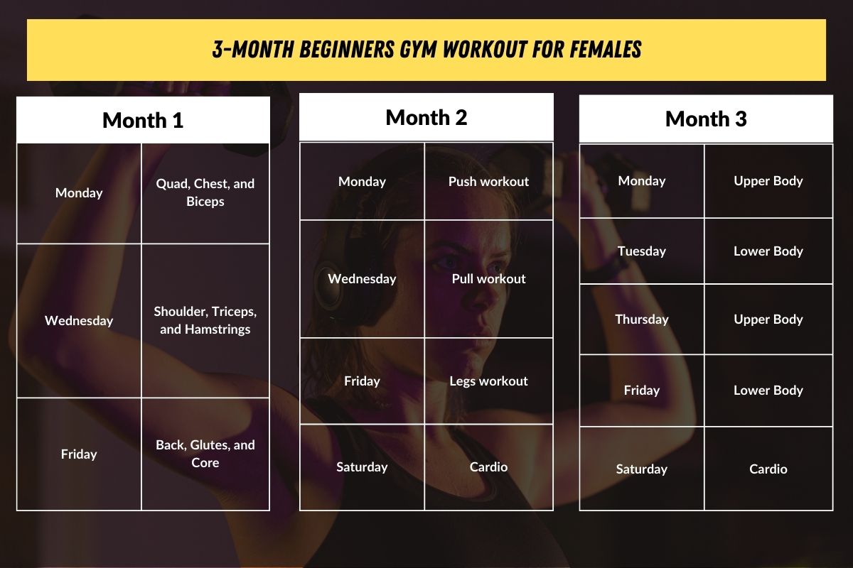 Women's 3 Month Workout Plan Summary