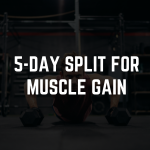 5 Day Gym Workout