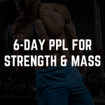 6 Day Push Pull Legs